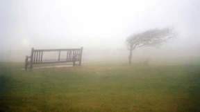 Wenn das Gedächtnis plötzlich komplett versagt