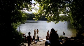 Durchsuchungen bei vier Verdächtigen wegen Sexualstraftaten