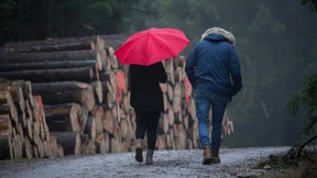 Temperaturen gehen wieder zurück