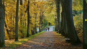 Der weite Weg zu Wolke Sieben