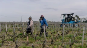 Wo Le Pen die Hoffnung ist