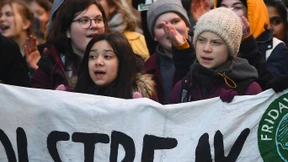 „Wir befinden uns am Anfang der Massenausrottung“