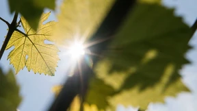 Die Sonne zeigt sich vor Ferienbeginn