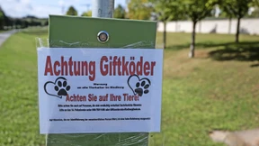 Verdacht auf weitere Giftköder
