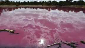 Pinker See in Melbourne zieht Touristen an