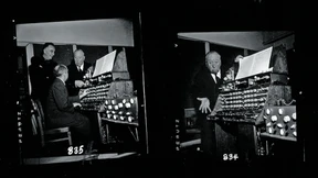 Wie rauschen doch die Flügel bei Hitchcock