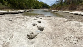 Dinosaurier-Spuren in ausgetrocknetem Flussbett in Texas entdeckt