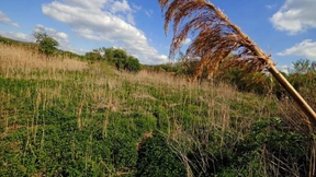 Moor wird wieder bewässert