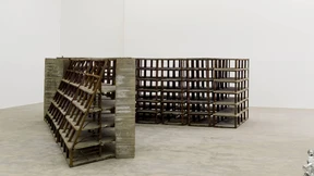 Aber die Bäume riefen nach der Axt