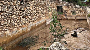 Hirsch in höchster Not