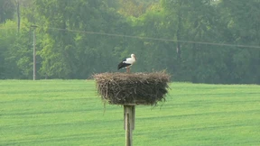 Musterregion tätiger Reue