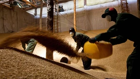 Die Landwirtschaft könnte Afrikas Hoffnung sein