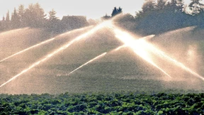 Das Wasser verteuern?