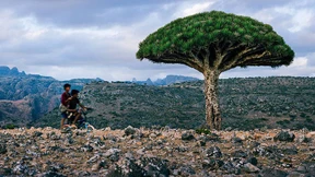 Das Ende der Einsamkeit