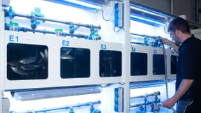 Zahl der Versuchstiere in Deutschland weiter gesunken