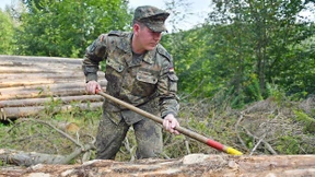 Die Hilferufe des Waldes