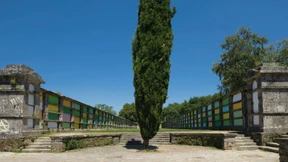 Die Farben des Lebens und des Todes