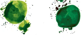 Erfolg macht gefährlich