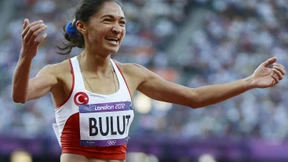 Verratene Betrüger, verzweifelte Opfer