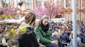 Das Mainzer Marktfrühstück kehrt zurück