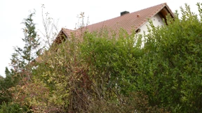 Frauen als Geiseln genommen und vergewaltigt