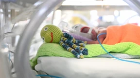 Hitze führt vermehrt zu Frühgeburten