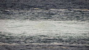 Schwedische Küstenwache richtet Sperrzone ein