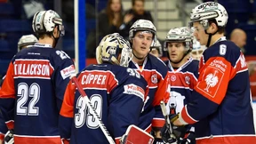 Berliner Eisbären ohne Biss