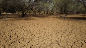 Robuster durch Muster