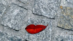 Wie es sich anfühlt, mit Akne zu leben