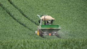 Der Staat streicht die meisten Agrar-Subventionen ein