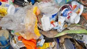 Recycling für das gute Gewissen