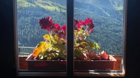 Vom Glück, ohne Handy zu sein