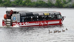 Titeltrauma und Titeltraum