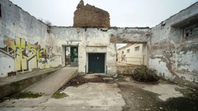 Phoenix aus der Asche