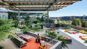 Zuckerbergs Arbeitsparadies