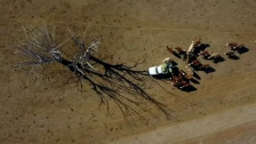 Millionen-Hilfspaket für Bauern in Australien