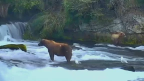 Der Winterschlaf ist endlich vorbei