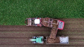 Warum die Zuckerhersteller vom Zucker weg wollen