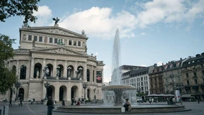 Baumspende statt Blumenstrauß