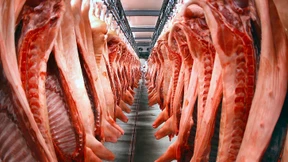 Klagen gegen strengere Regeln in der Fleischindustrie abgelehnt