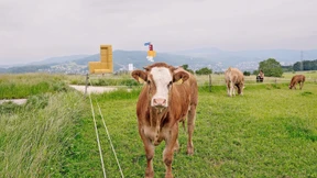 Auf dem Acker oder auf der Umlaufbahn