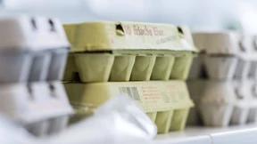 Belgische Behörden wussten schon Anfang Juni von Fipronil-Verdacht