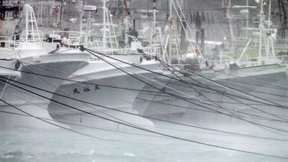 Erste Sturmausläufer erreichen Japan