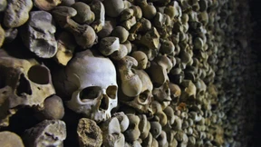 Deutsche lassen 14 Totenschädel mitgehen