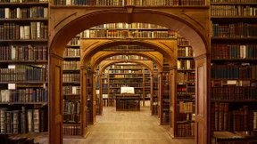 Der ästhetische Lehrwert der Trigger Warnings