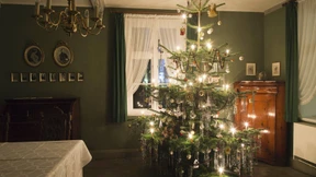 Theodor Storm im Glück