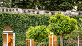 Zur Sonne, zum Licht!