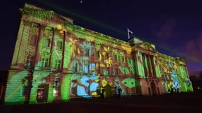 Schützt den Regenwald!