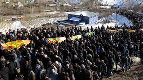 Trügerische Maultiere 